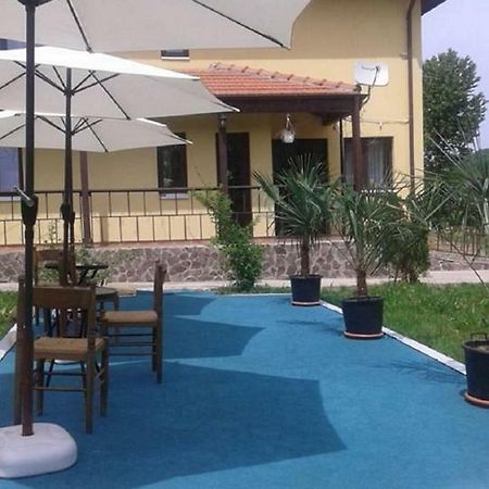 Отель Pensiunea Casa Vanatorului Oteleni Экстерьер фото