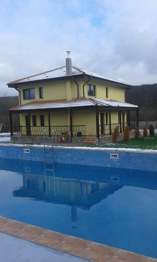 Отель Pensiunea Casa Vanatorului Oteleni Экстерьер фото