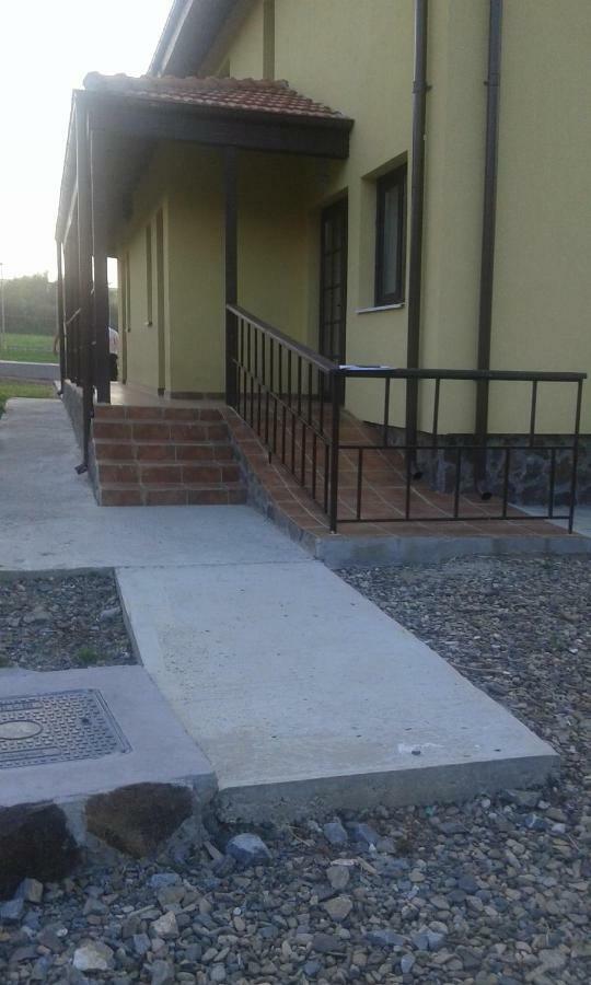 Отель Pensiunea Casa Vanatorului Oteleni Экстерьер фото