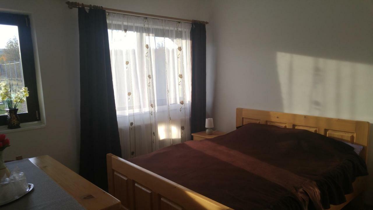 Отель Pensiunea Casa Vanatorului Oteleni Экстерьер фото