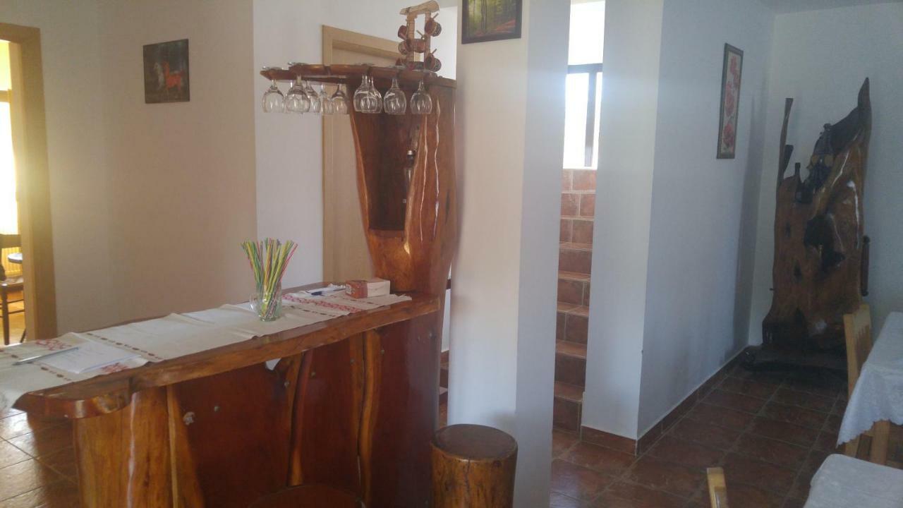 Отель Pensiunea Casa Vanatorului Oteleni Экстерьер фото