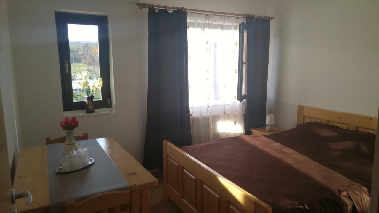 Отель Pensiunea Casa Vanatorului Oteleni Экстерьер фото