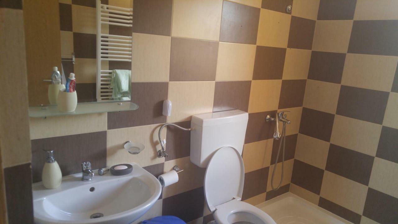 Отель Pensiunea Casa Vanatorului Oteleni Экстерьер фото