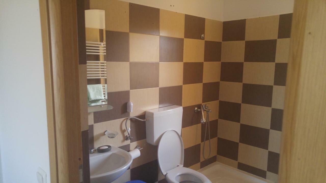 Отель Pensiunea Casa Vanatorului Oteleni Экстерьер фото