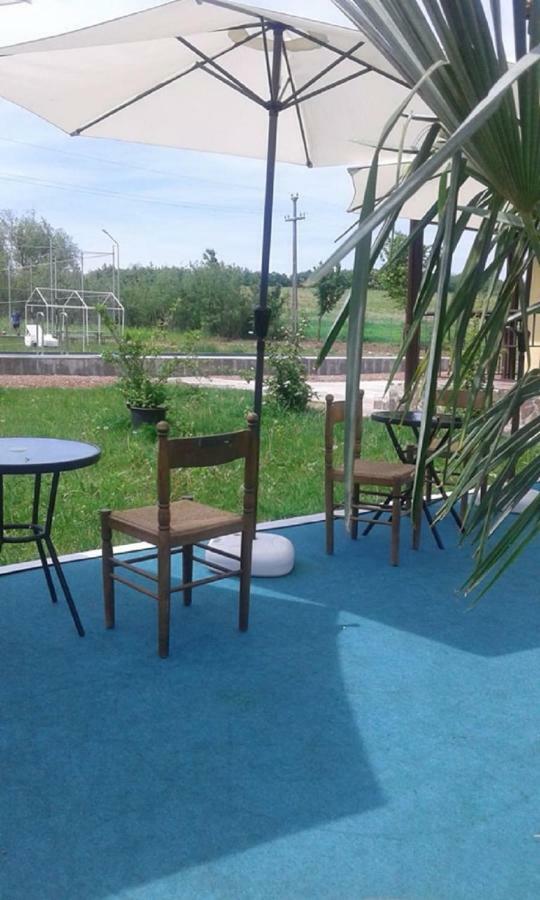 Отель Pensiunea Casa Vanatorului Oteleni Экстерьер фото