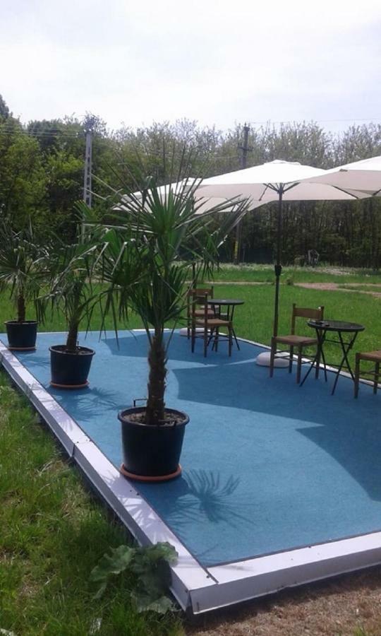 Отель Pensiunea Casa Vanatorului Oteleni Экстерьер фото